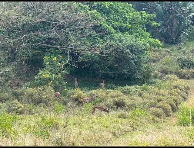 LAND FOR SALE IN ZINI RIVER ESTATE